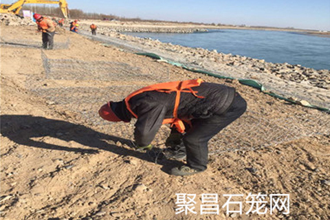 應(yīng)用案例 應(yīng)用案例