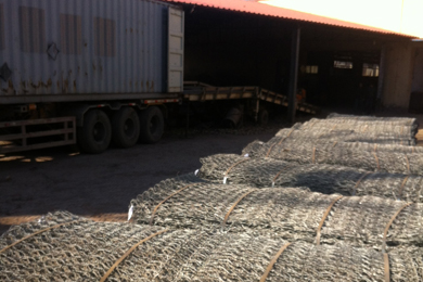 鍍鋅鉛絲籠 鍍鋅鉛絲籠