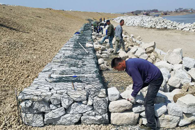 綠格網(wǎng) 綠格網(wǎng)