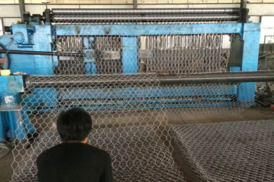 鍍鋅鉛絲籠 鍍鋅鉛絲籠