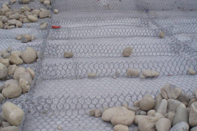 雙隔板雷諾護(hù)墊