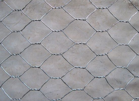 155596535022df6.jpg 155596535022df6.jpg