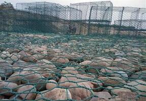 石籠網.jpg 石籠網.jpg