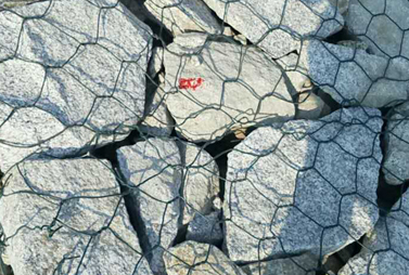 1356399551572870780.png 1356399551572870780.png