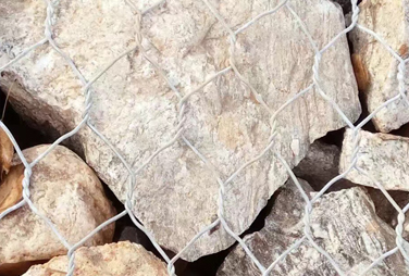 554343181185501153.png 554343181185501153.png