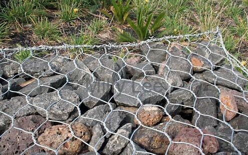 u=1776671206,4064065884&fm=26&gp=0.jpg u=1776671206,4064065884&fm=26&gp=0.jpg